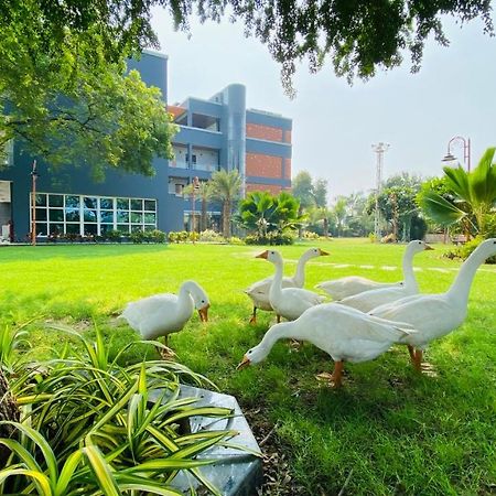 Krishna Riverside Resort Vasad ภายนอก รูปภาพ
